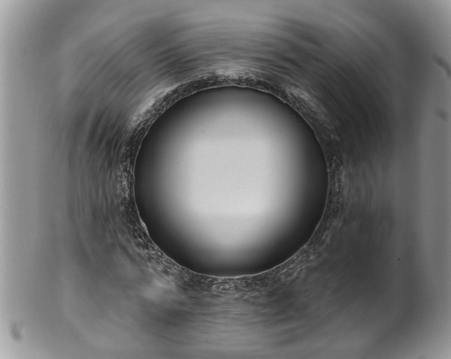 X0000101980776200807251233