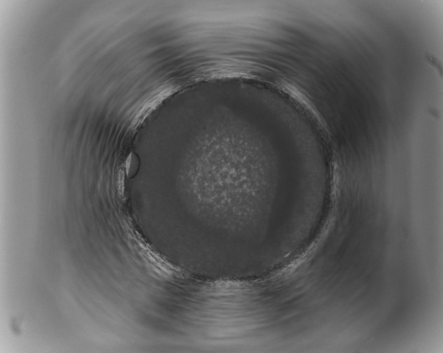 X0000101980777200807251232