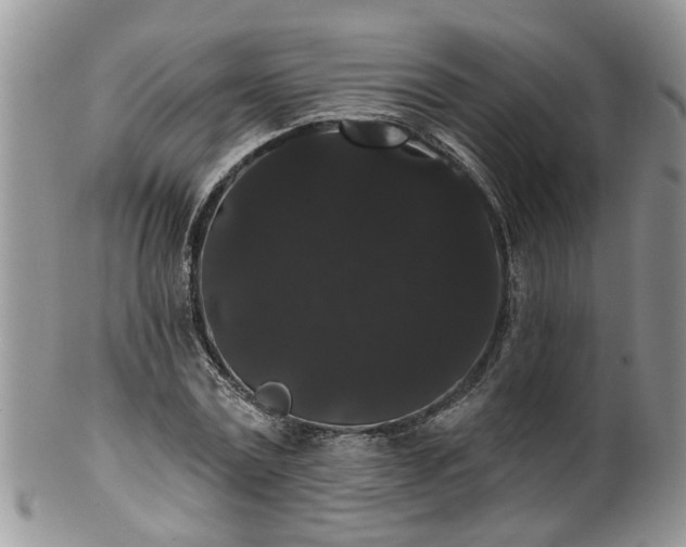 X0000101980779200807251232