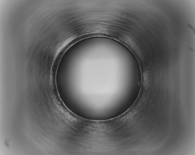 X0000101980780200807251232