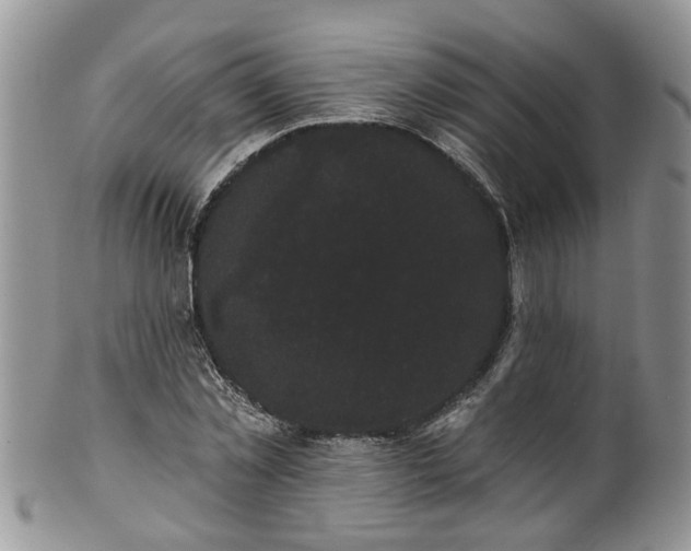 X0000101980781200807251232