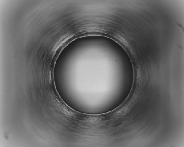 X0000101980782200807251232