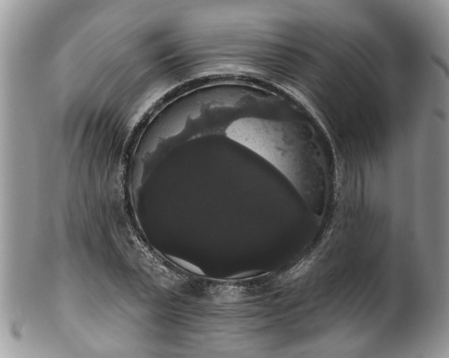 X0000101980783200807251232