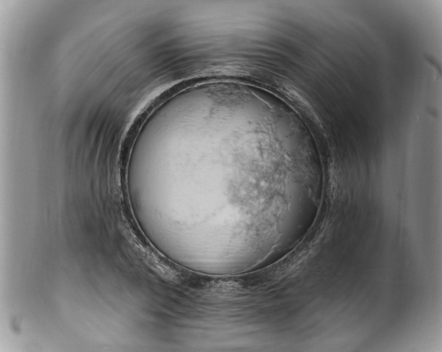 X0000101980784200807251232