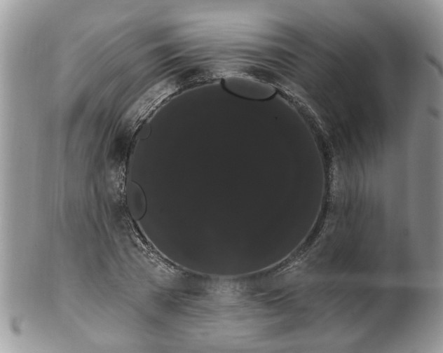 X0000101980785200807251232