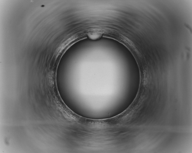 X0000101980786200807251232