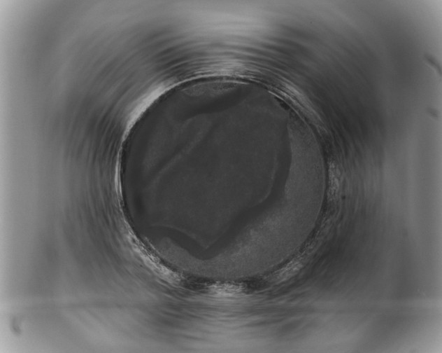 X0000101980788200807251232