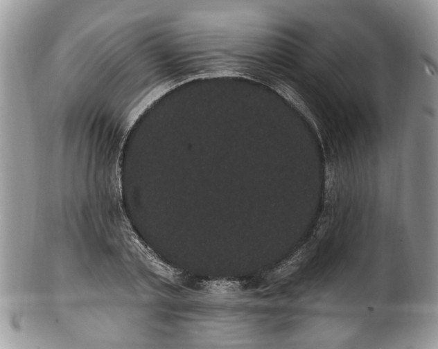 X0000101980789200807251232