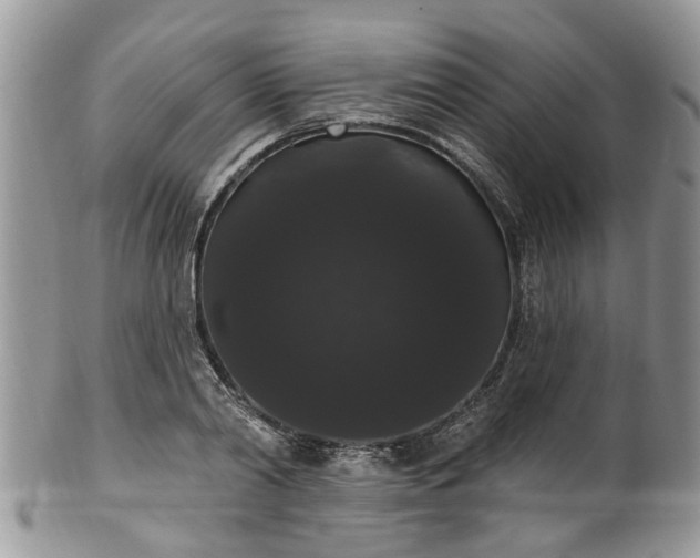 X0000101980790200807251232