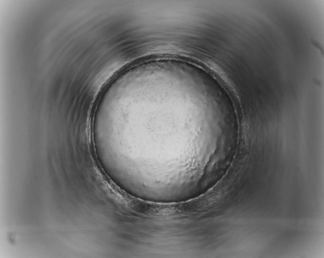 X0000101980791200807251232