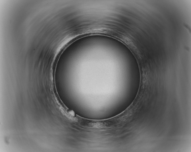 X0000101980792200807251232