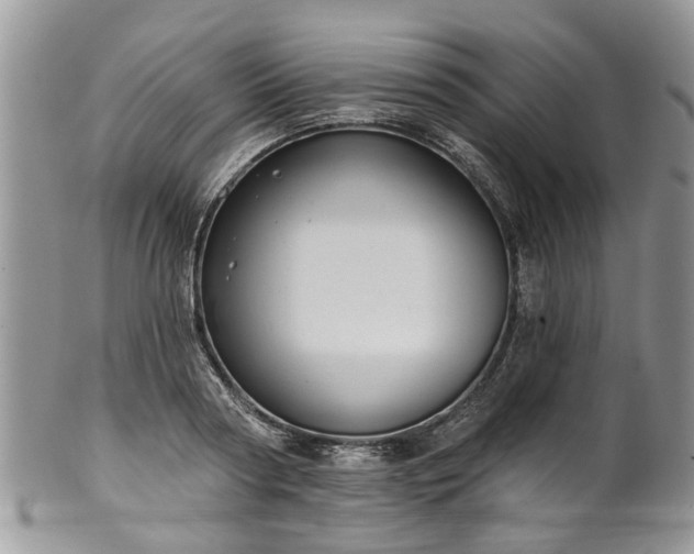 X0000101980794200807251232