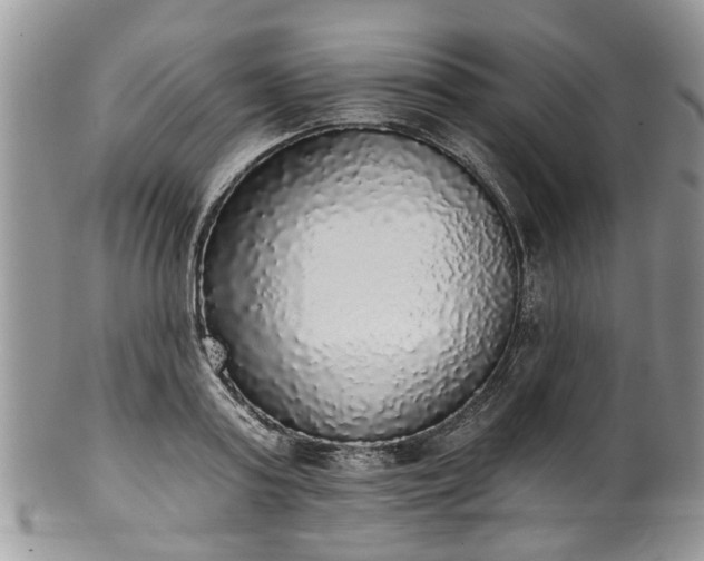 X0000101980795200807251232