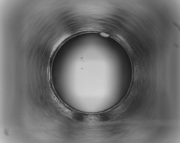 X0000101980796200807251232