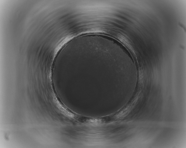 X0000101980797200807251232