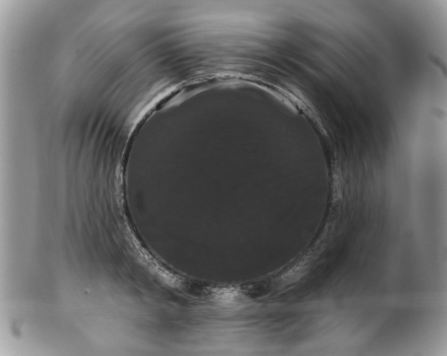 X0000101980798200807251232