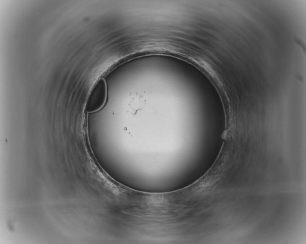 X0000101980799200807251232