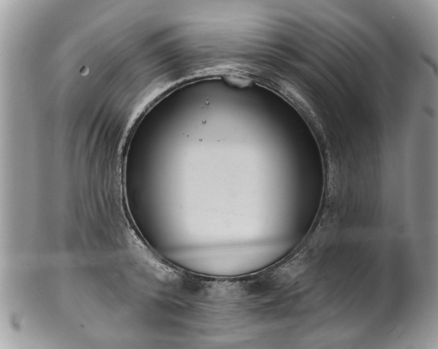 X0000101980800200807251232