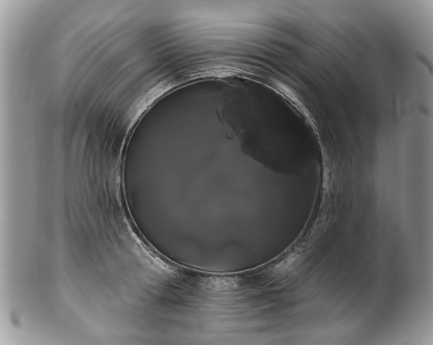 X0000101980802200807251232