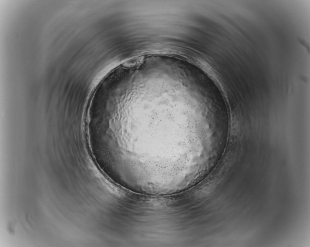 X0000101980803200807251232