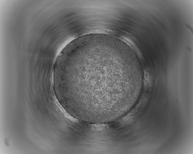 X0000101980804200807251232