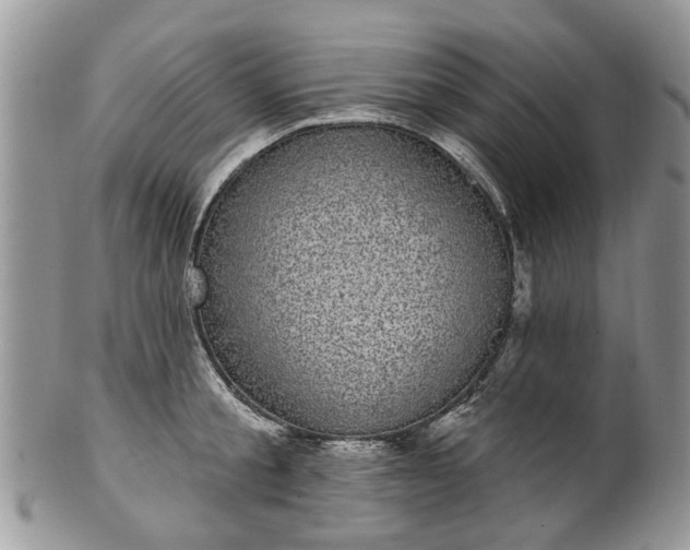 X0000101980805200807251232