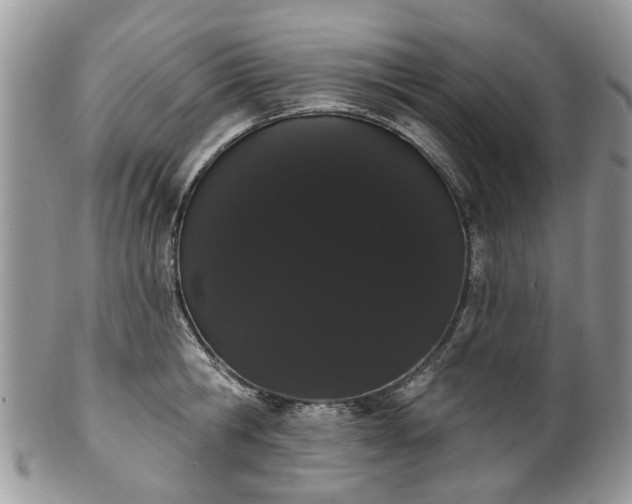 X0000101980806200807251232