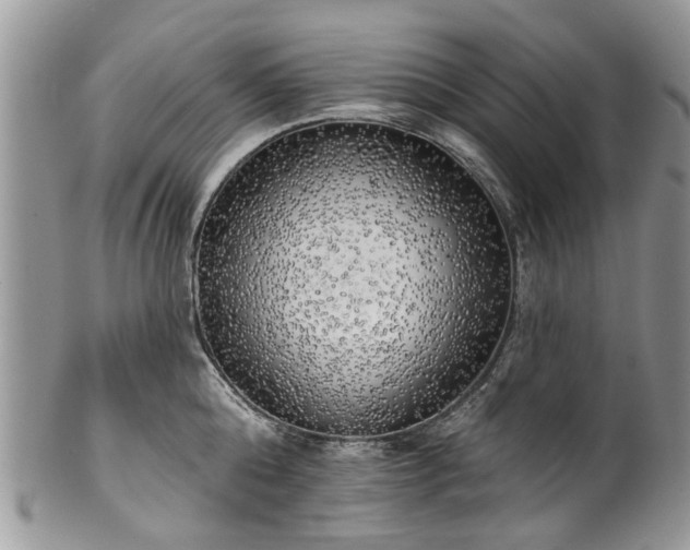 X0000101980808200807251232