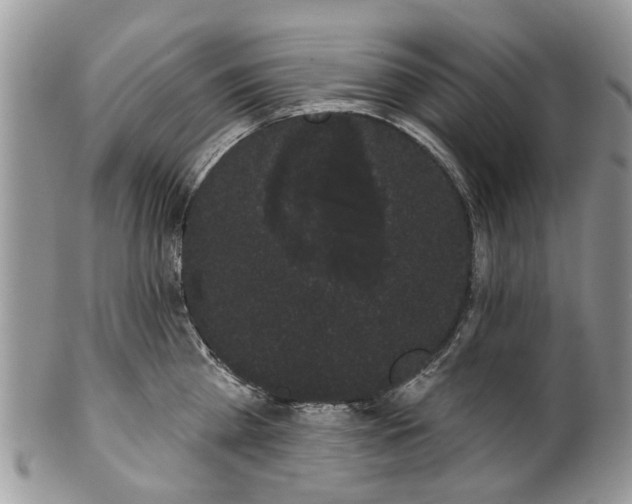 X0000101980809200807251232