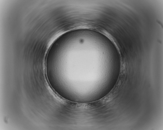 X0000101980811200807251232