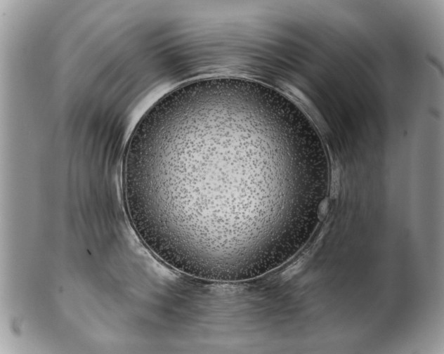 X0000101980812200807251232