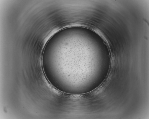 X0000101980813200807251232