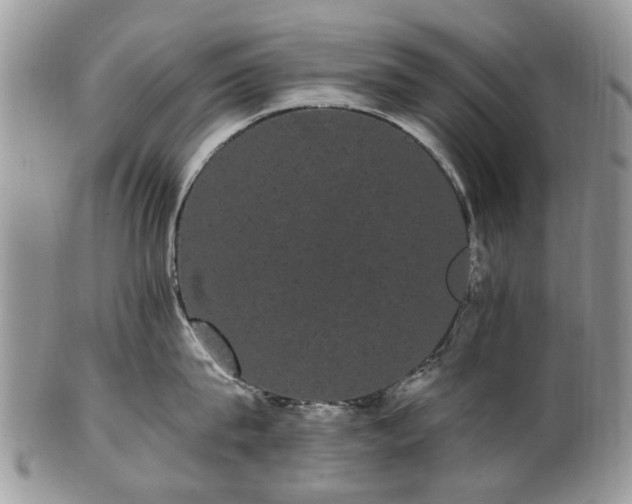 X0000101980815200807251232