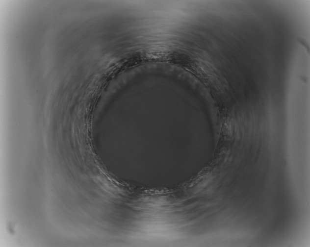 X0000101980817200807251231