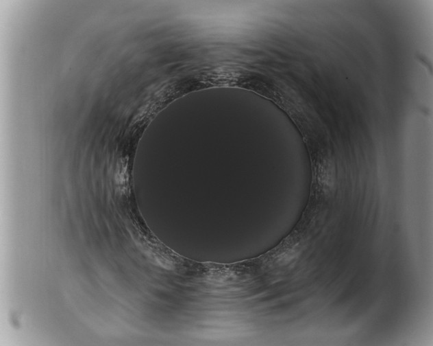 X0000101980818200807251231