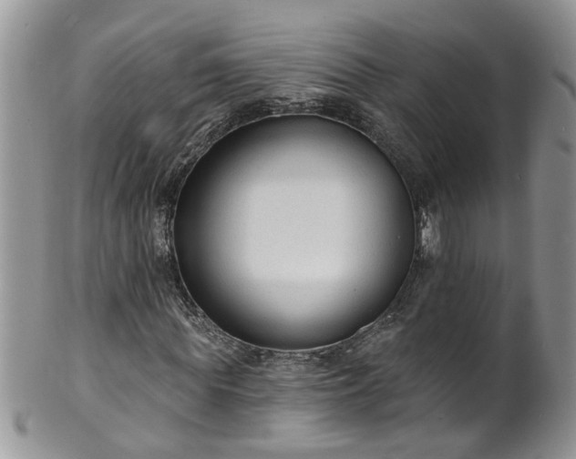 X0000101980819200807251231