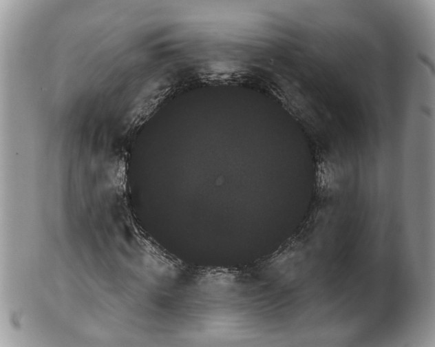 X0000101980820200807251231