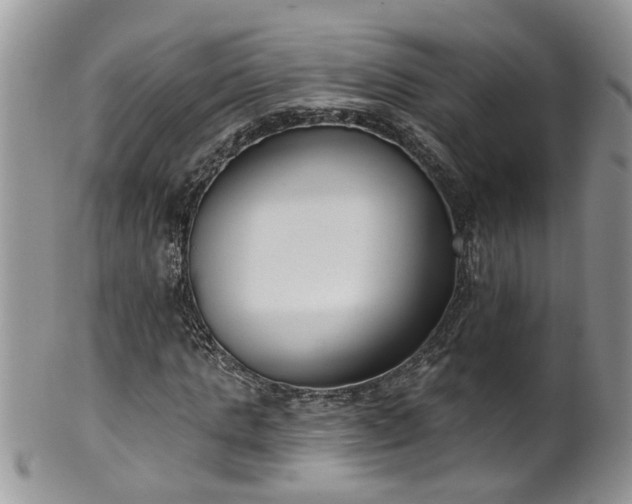 X0000101980821200807251231