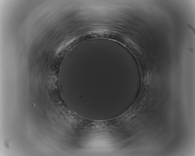 X0000101980822200807251231