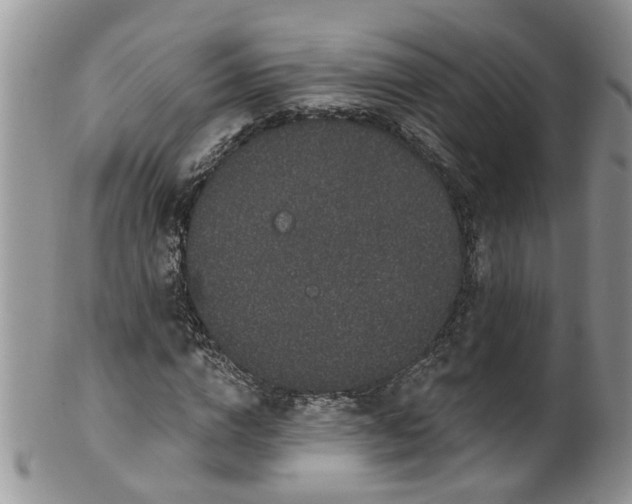 X0000101980824200807251231