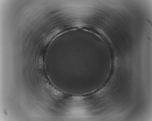 X0000101980825200807251231