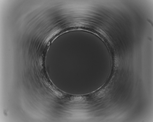 X0000101980826200807251231