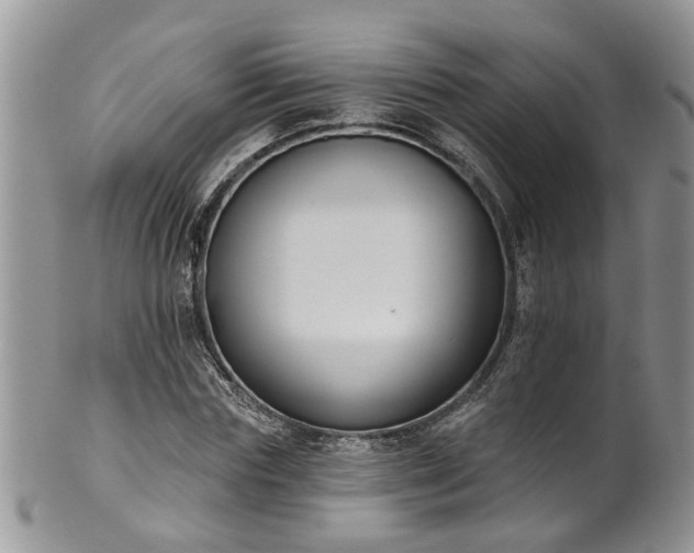 X0000101980827200807251231