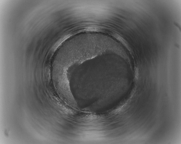 X0000101980829200807251231