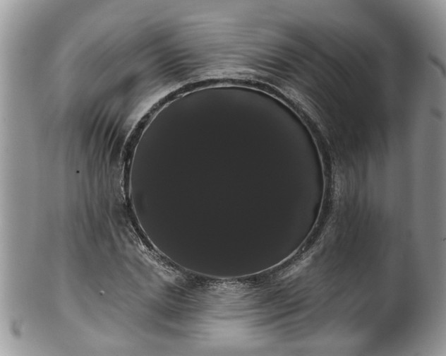 X0000101980830200807251231