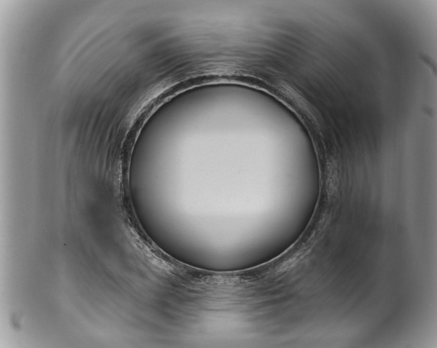 X0000101980831200807251231