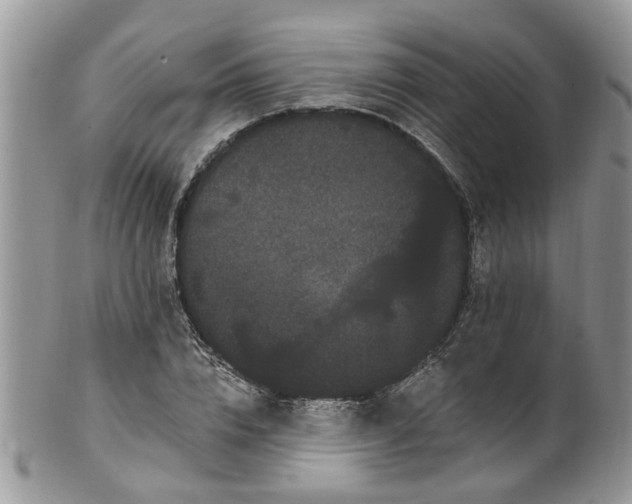 X0000101980832200807251231