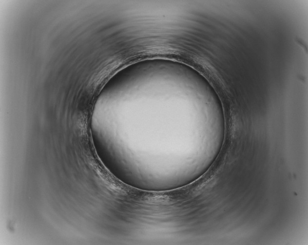 X0000101980833200807251231