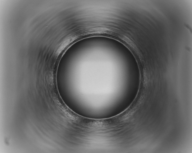 X0000101980834200807251231