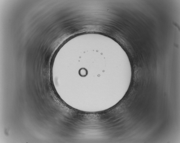 X0000101980836200807251231